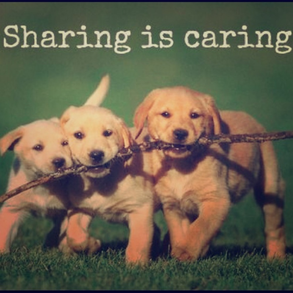 Sharing is caring!
